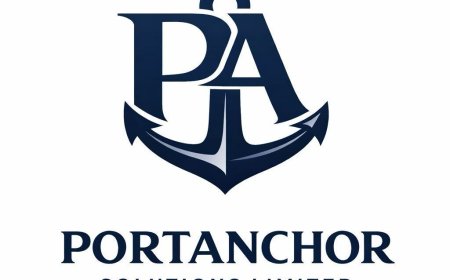 Declaration Officer Job Vacancy at Portanchor Solutions Limited