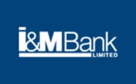 Assistant Manager: Card Systems at I&M Bank Tanzania