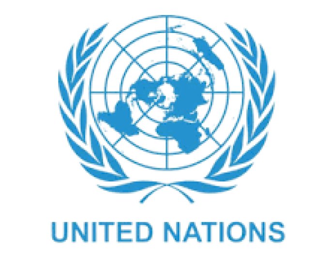 United Nations Job Vacancies, 5 Positions — October 2026