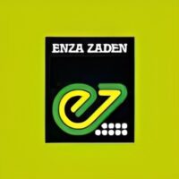 Enza Zaden Africa Ltd