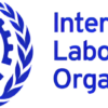 International Labour Organization (ILO)